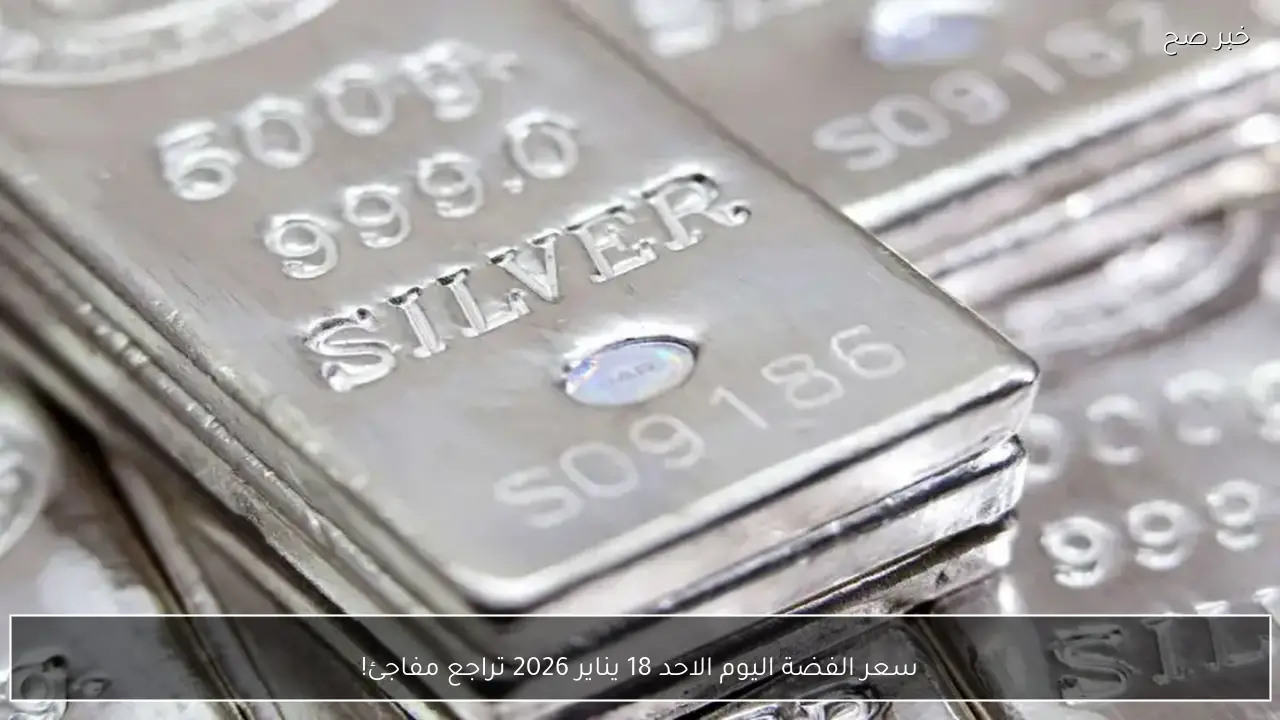سعر الفضة اليوم الاحد 18 يناير 2026 تراجع مفاجئ!