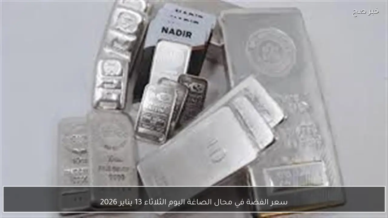 سعر الفضة في محال الصاغة اليوم الثلاثاء 13 يناير 2026