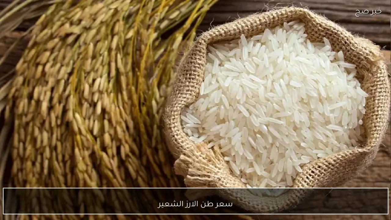 سعر طن الارز الشعير اليوم الثلاثاء 20 يناير 2026 في الاسواق عريض ورفيع الحبة