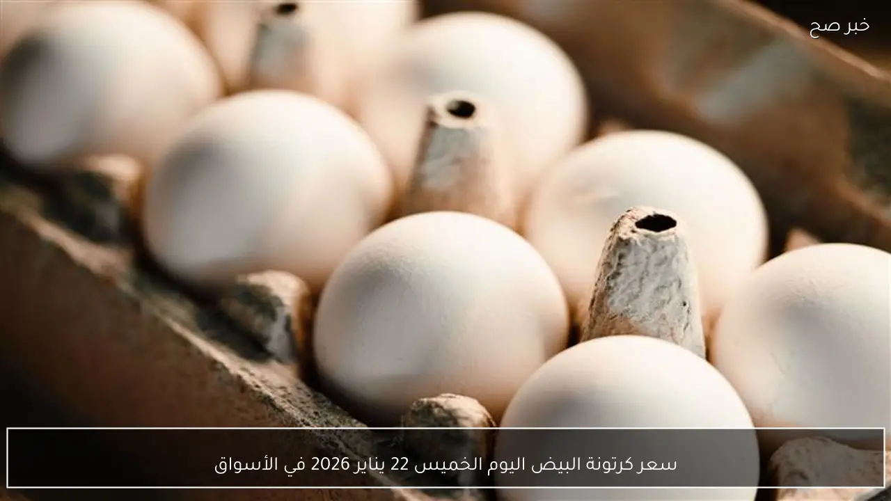سعر كرتونة البيض اليوم الخميس 22 يناير 2026 في الأسواق