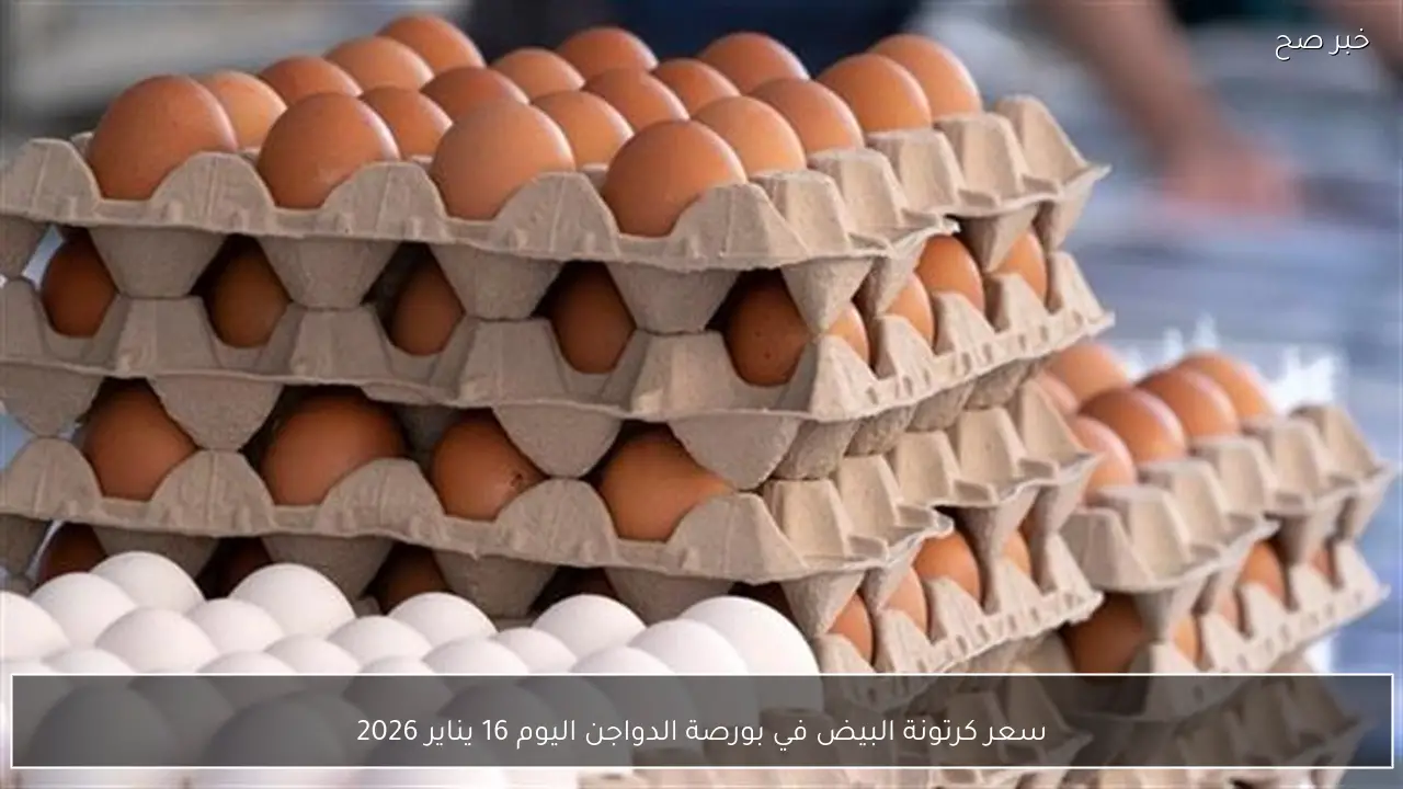 سعر كرتونة البيض في بورصة الدواجن اليوم 16 يناير 2026