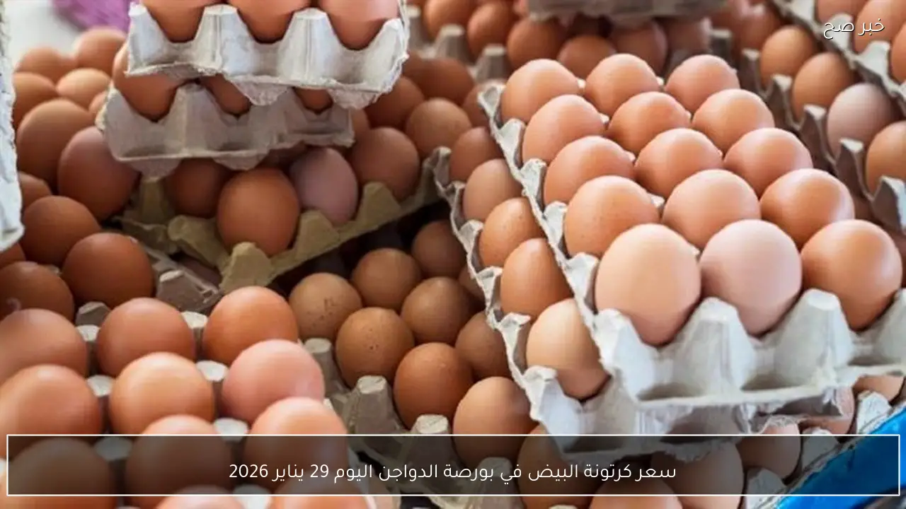 سعر كرتونة البيض في بورصة الدواجن اليوم 29 يناير 2026