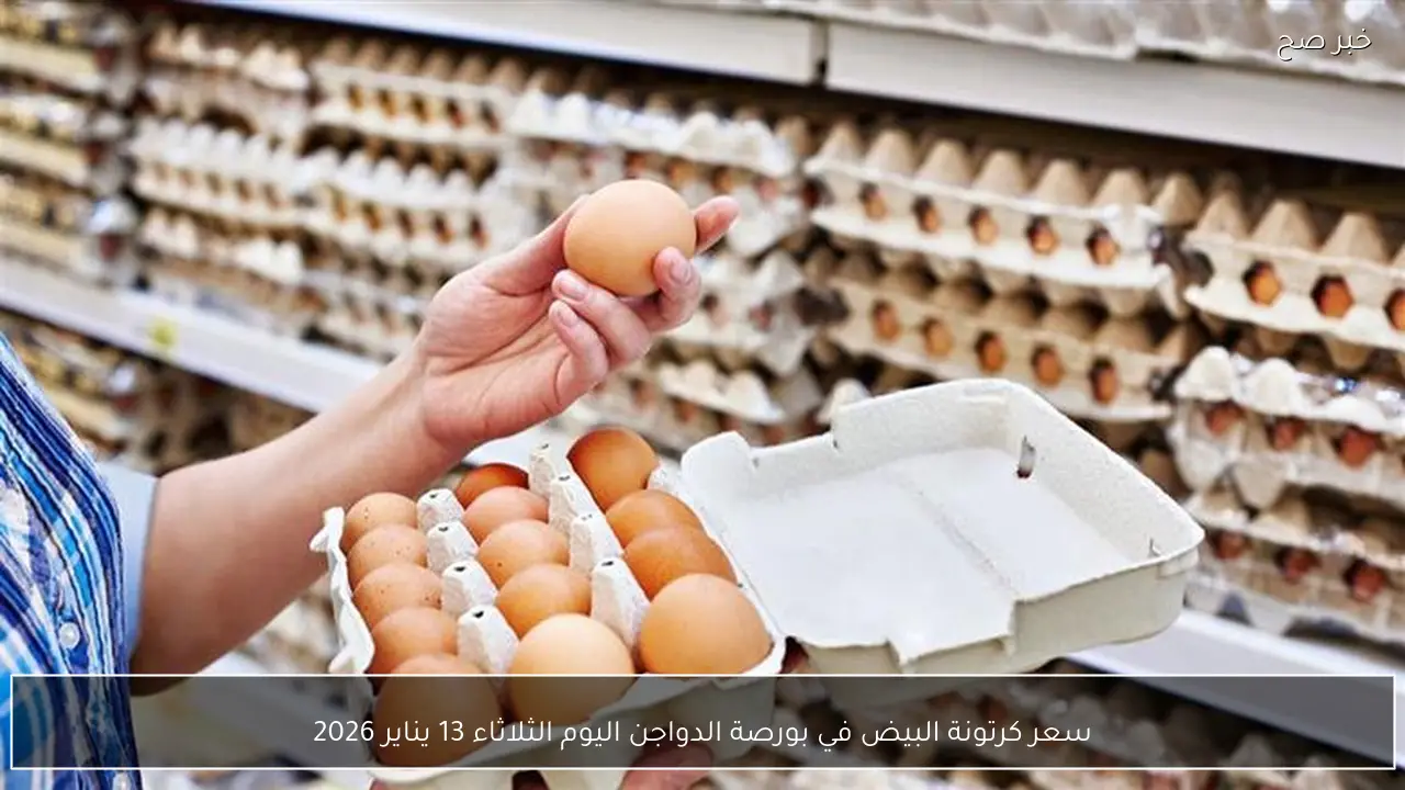 سعر كرتونة البيض في بورصة الدواجن اليوم الثلاثاء 13 يناير 2026