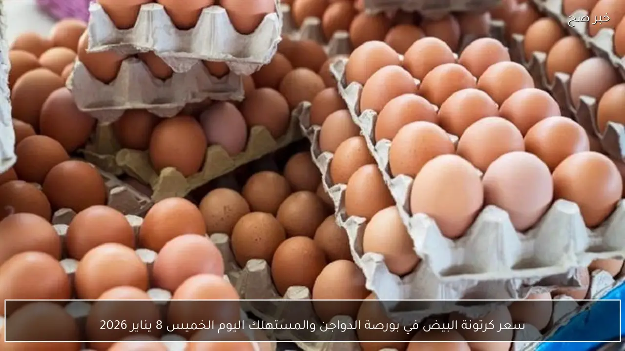 سعر كرتونة البيض في بورصة الدواجن والمستهلك اليوم الخميس 8 يناير 2026