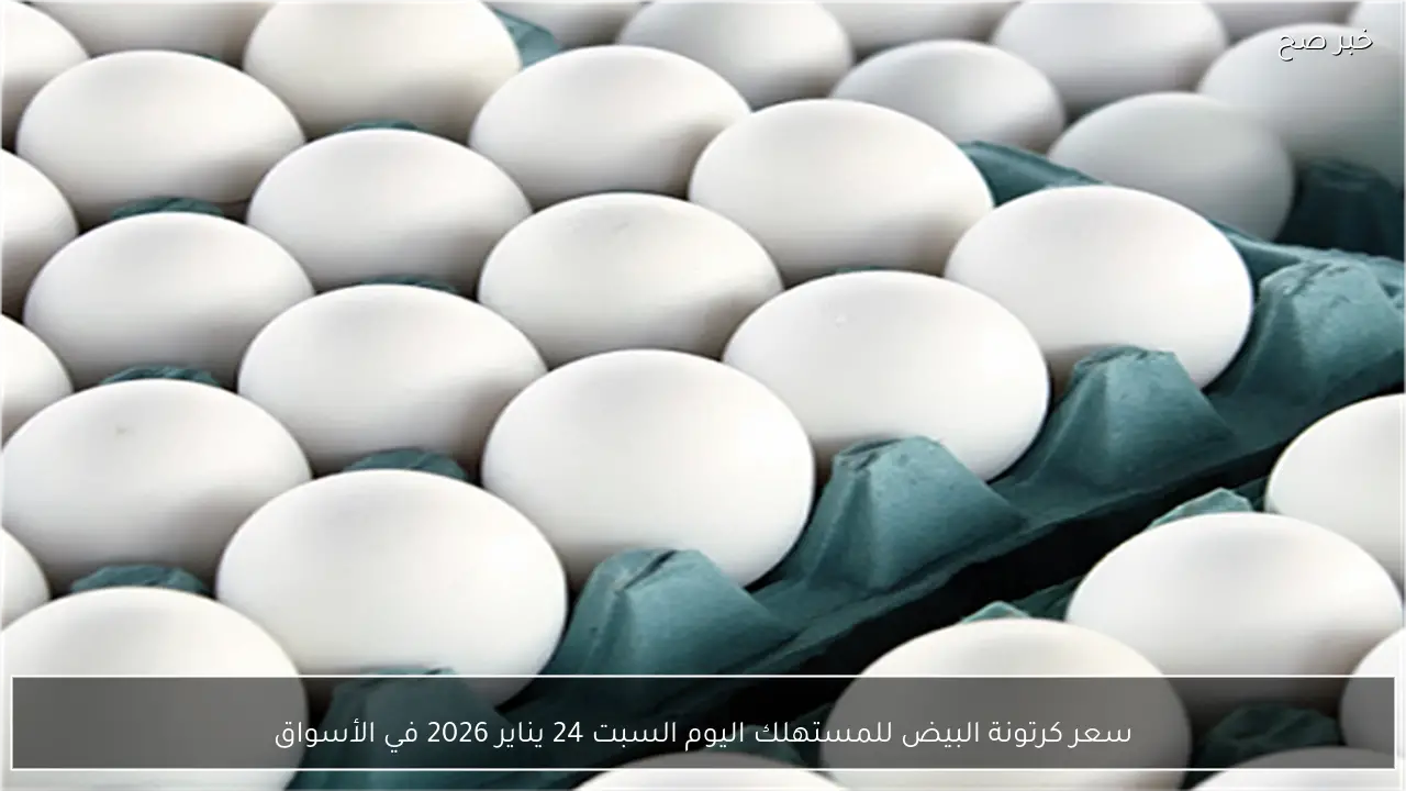 سعر كرتونة البيض للمستهلك اليوم السبت 24 يناير 2026 في الأسواق