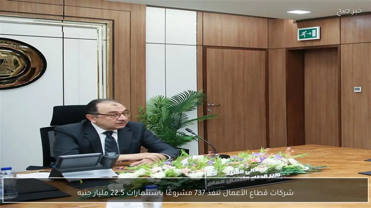 شركات قطاع الأعمال تنفذ 737 مشروعًا باستثمارات 22.5 مليار جنيه