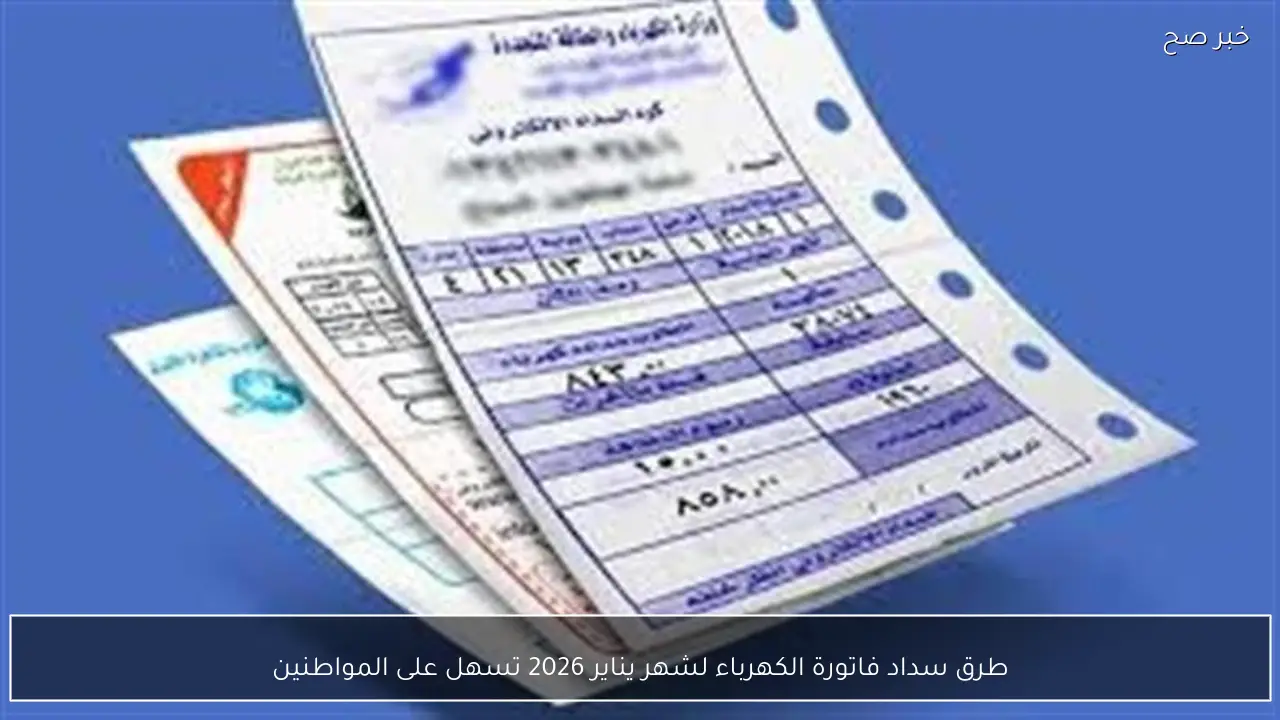 طرق سداد فاتورة الكهرباء لشهر يناير 2026 تسهل على المواطنين