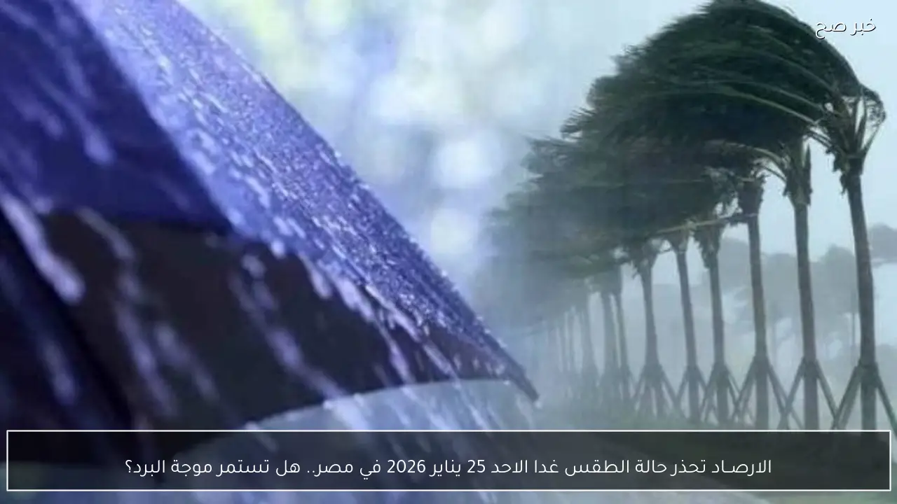 الارصــاد تحذر حالة الطقس غدا الاحد 25 يناير 2026 في مصر.. هل تستمر موجة البرد؟