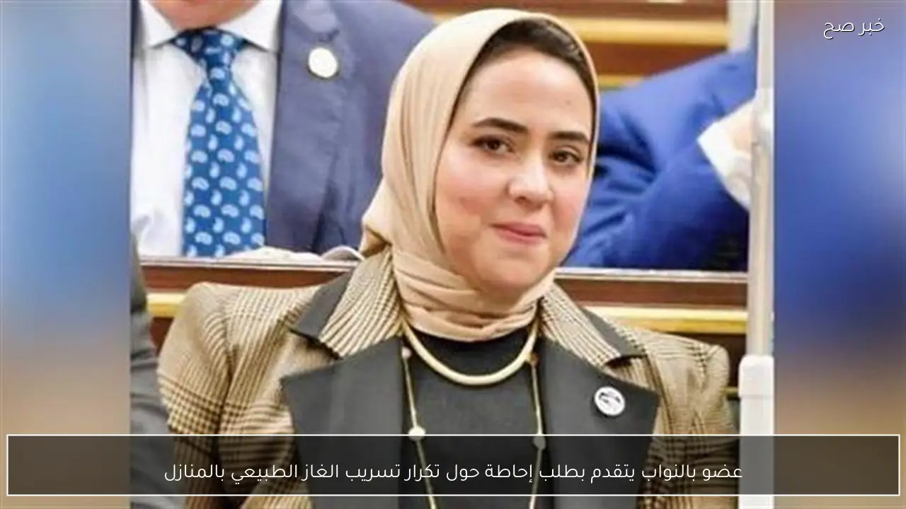 عضو بالنواب يتقدم بطلب إحاطة حول تكرار تسريب الغاز الطبيعي بالمنازل