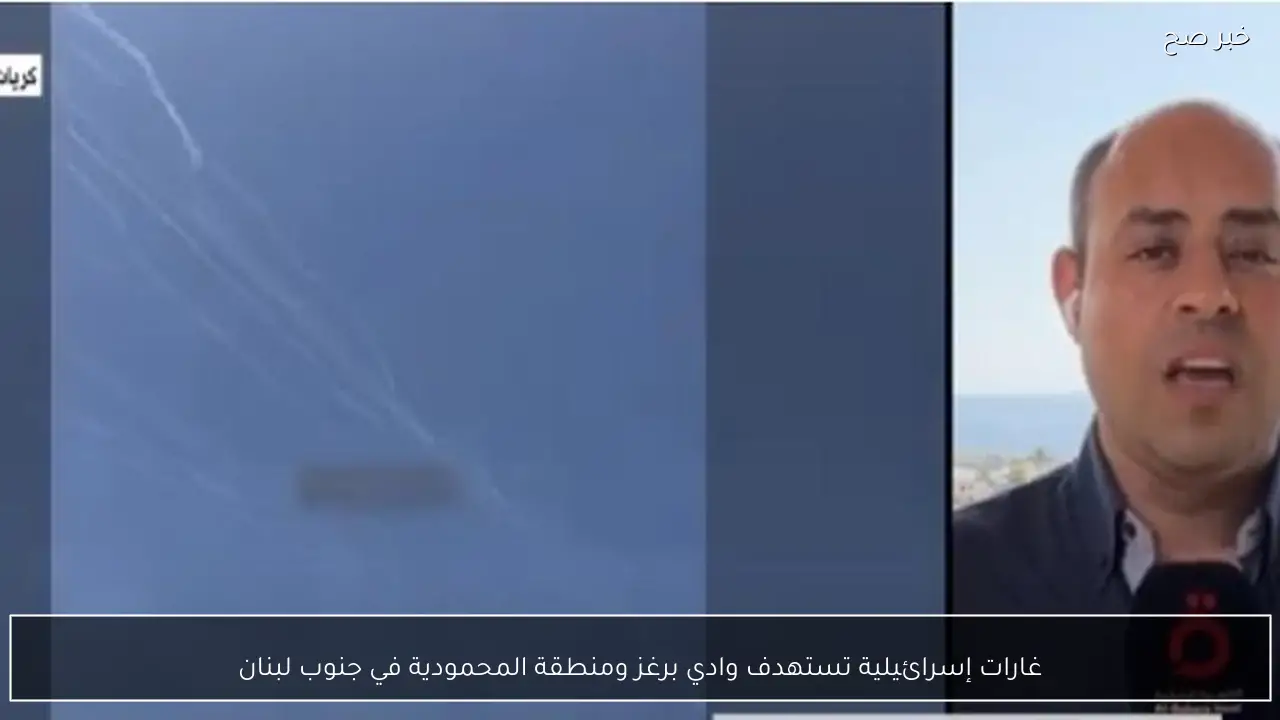 غارات إسرائيلية تستهدف وادي برغز ومنطقة المحمودية في جنوب لبنان