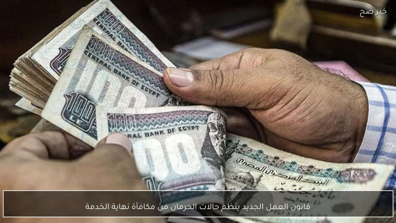 قانون العمل الجديد ينظم حالات الحرمان من مكافأة نهاية الخدمة