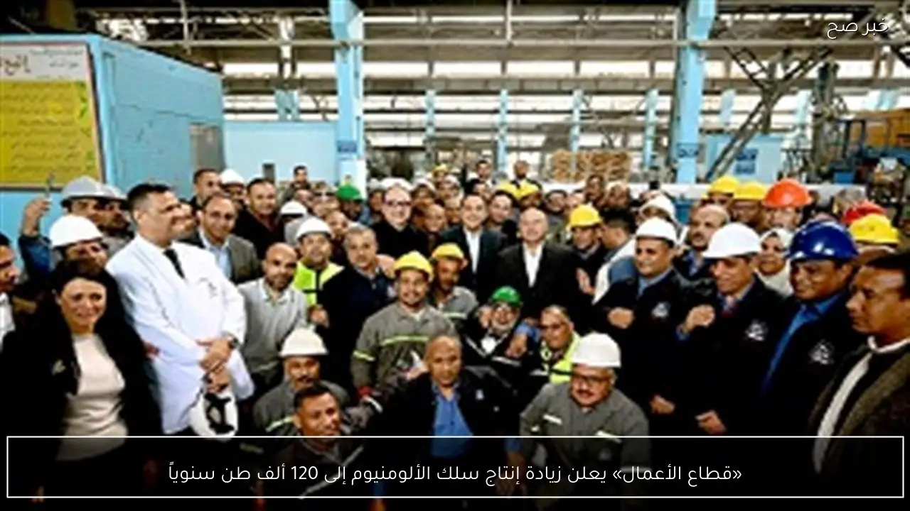 «قطاع الأعمال» يعلن زيادة إنتاج سلك الألومنيوم إلى 120 ألف طن سنوياً