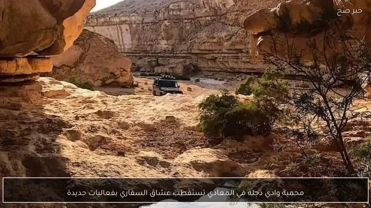 محمية وادي دجلة في المعادي تستقطب عشاق السفاري بفعاليات جديدة