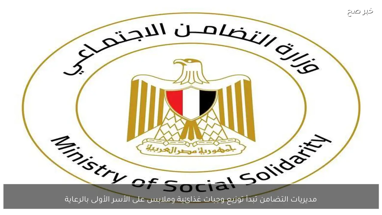 مديريات التضامن تبدأ توزيع وجبات غذائية وملابس على الأسر الأولى بالرعاية