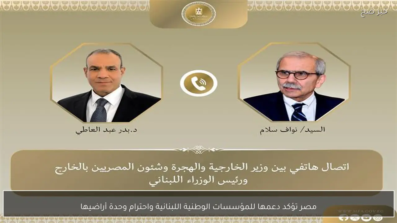 مصر تؤكد دعمها للمؤسسات الوطنية اللبنانية واحترام وحدة أراضيها
