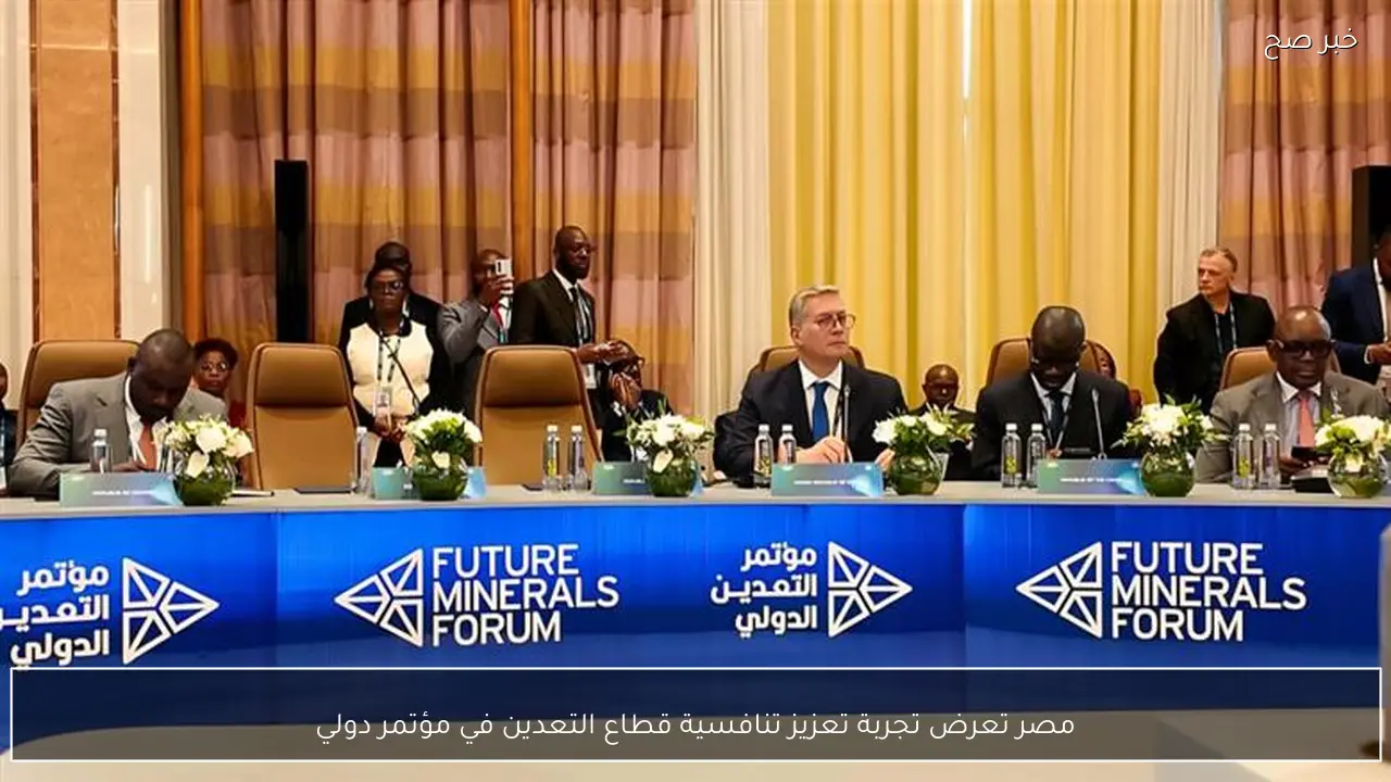 مصر تعرض تجربة تعزيز تنافسية قطاع التعدين في مؤتمر دولي