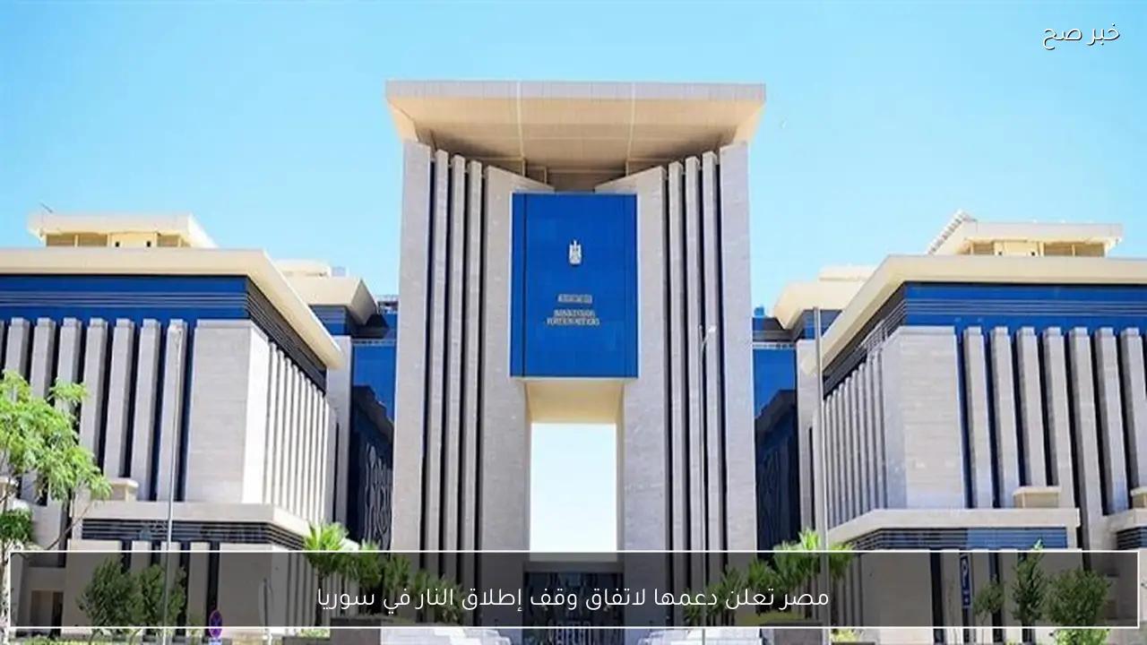 مصر تعلن دعمها لاتفاق وقف إطلاق النار في سوريا