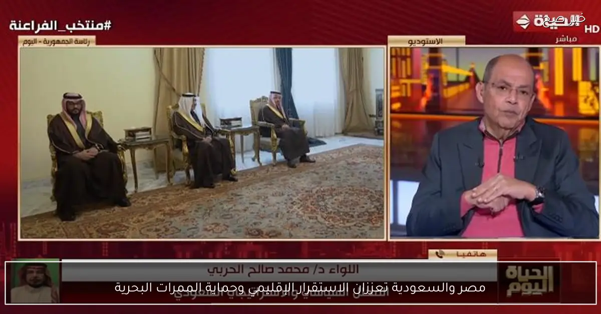 مصر والسعودية تعززان الاستقرار الإقليمي وحماية الممرات البحرية