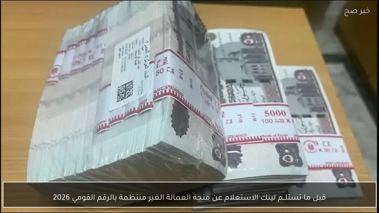 قبل ما تستلــم لينك الاستعلام عن منحة العمالة الغير منتظمة بالرقم القومي 2026