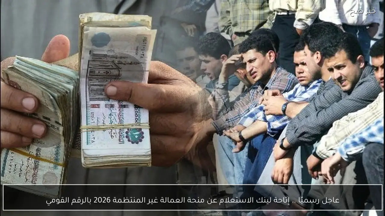 رسميًا إتاحة لينك الاستعلام عن منحة العمالة غير المنتظمة 2026 بالرقم القومي