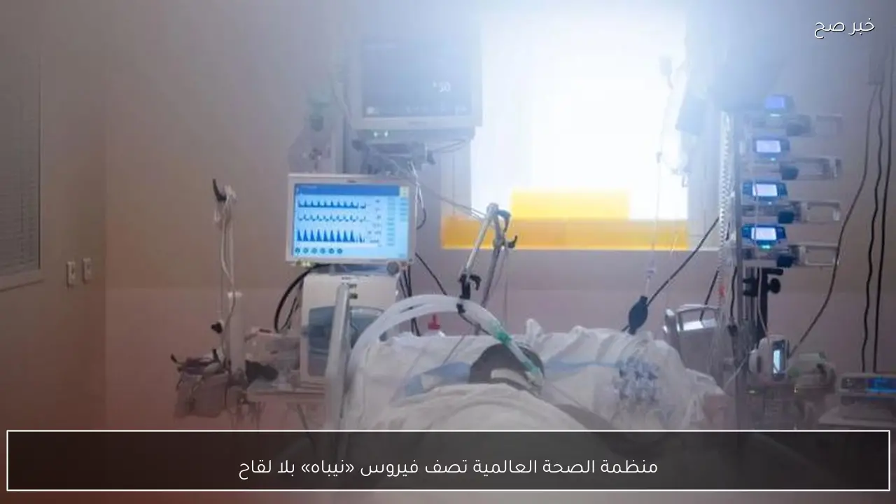 منظمة الصحة العالمية تصف فيروس «نيباه» بلا لقاح