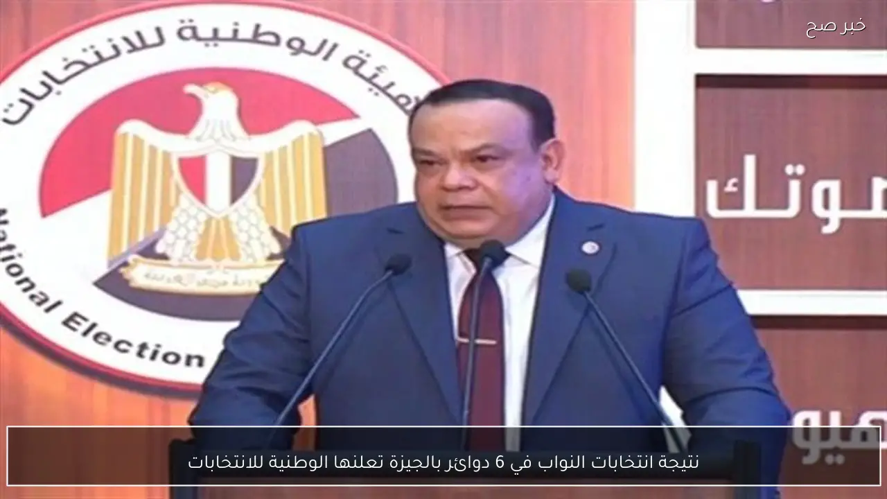 نتيجة انتخابات النواب في 6 دوائر بالجيزة تعلنها الوطنية للانتخابات