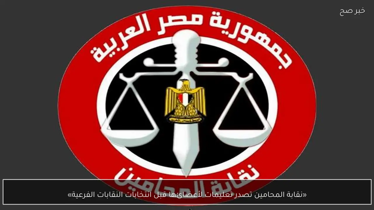 «نقابة المحامين تصدر تعليمات لأعضائها قبل انتخابات النقابات الفرعية»