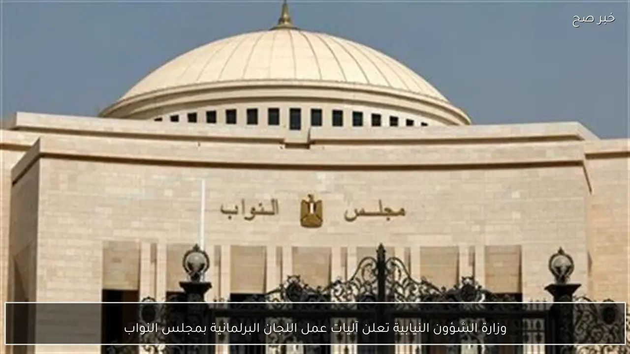 وزارة الشؤون النيابية تعلن آليات عمل اللجان البرلمانية بمجلس النواب