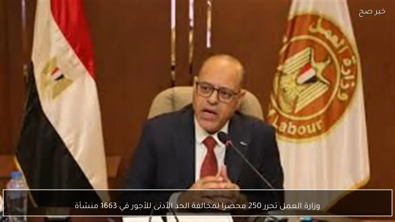 وزارة العمل تحرر 250 محضرا لمخالفة الحد الأدنى للأجور في 1663 منشأة
