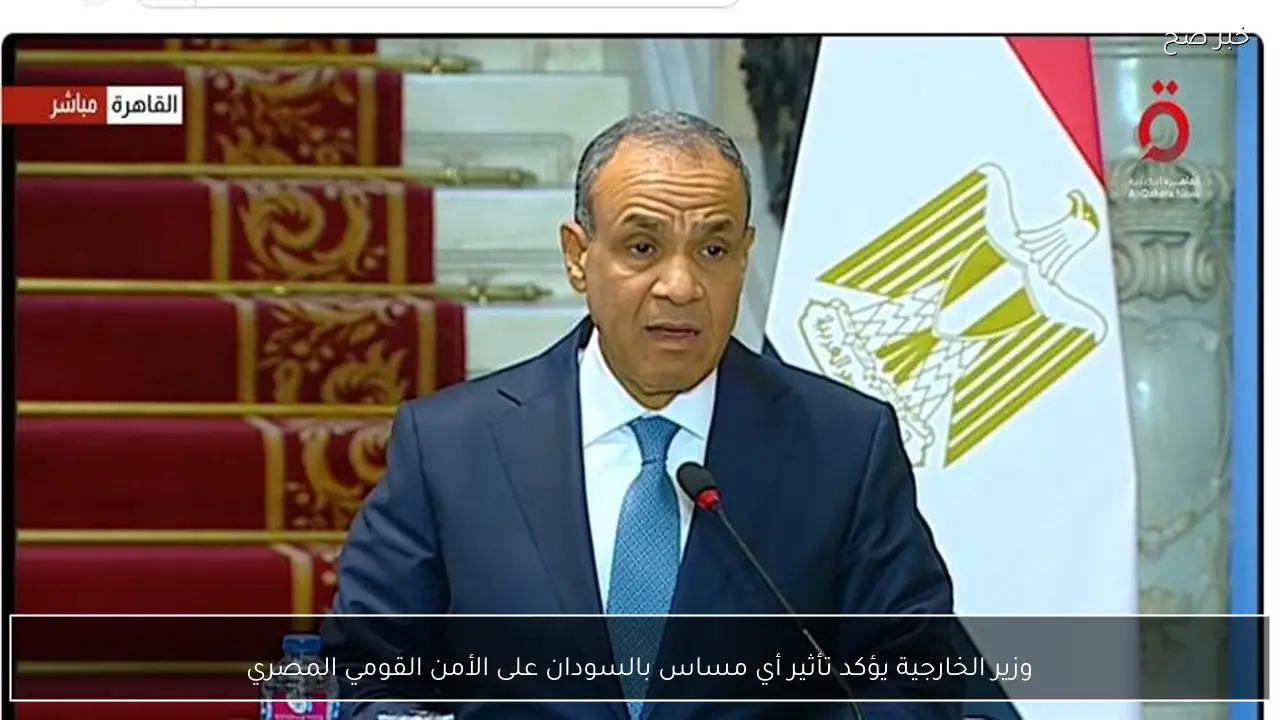 وزير الخارجية يؤكد تأثير أي مساس بالسودان على الأمن القومي المصري