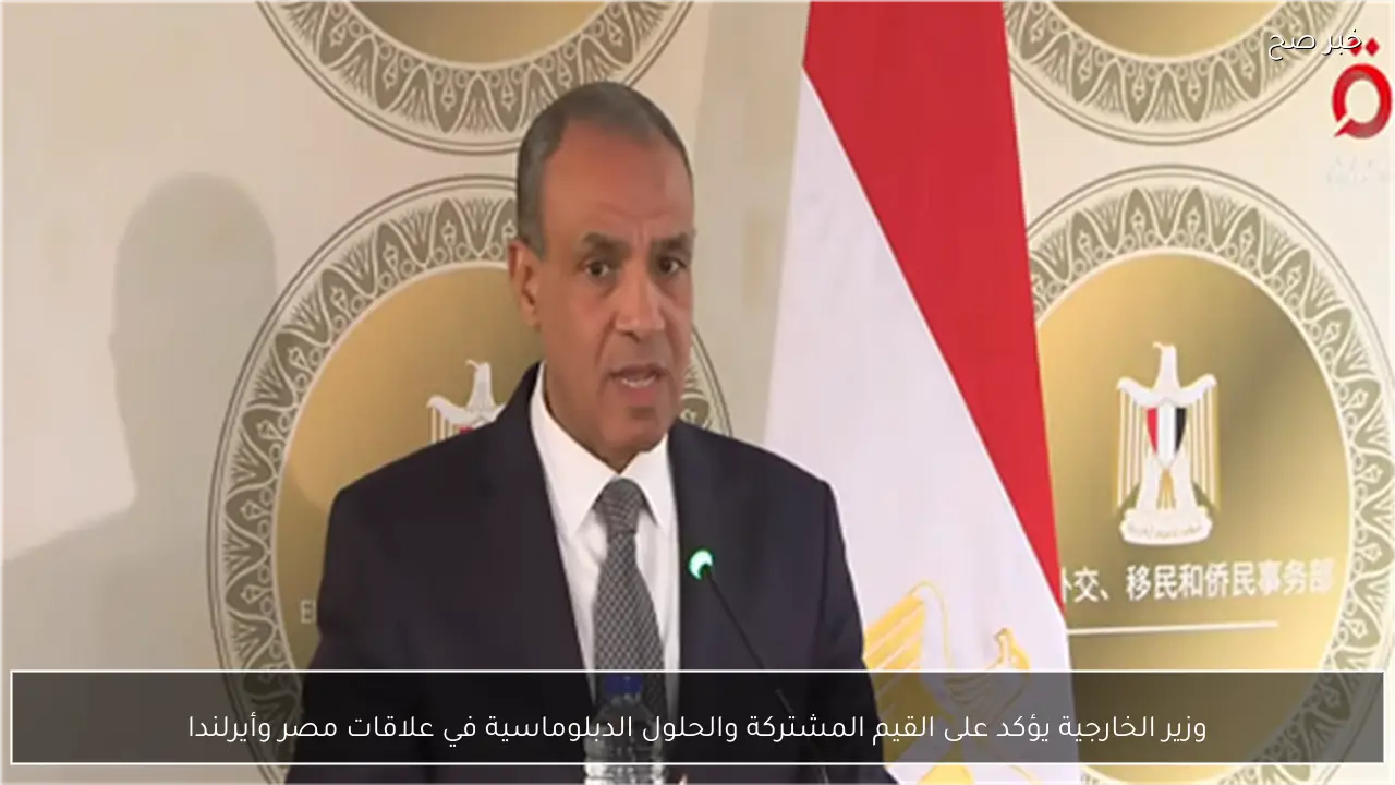 وزير الخارجية يؤكد على القيم المشتركة والحلول الدبلوماسية في علاقات مصر وأيرلندا