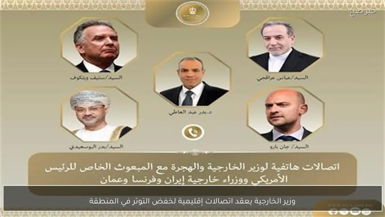 وزير الخارجية يعقد اتصالات إقليمية لخفض التوتر في المنطقة