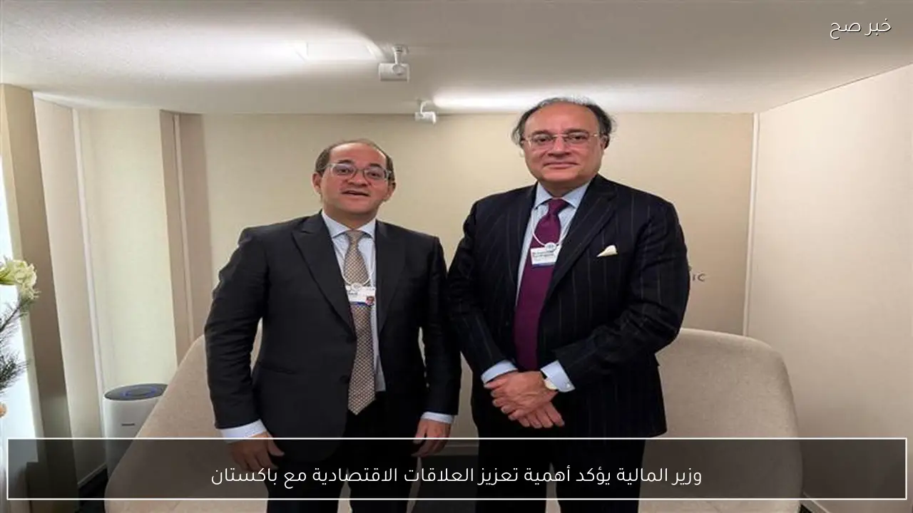 وزير المالية يؤكد أهمية تعزيز العلاقات الاقتصادية مع باكستان