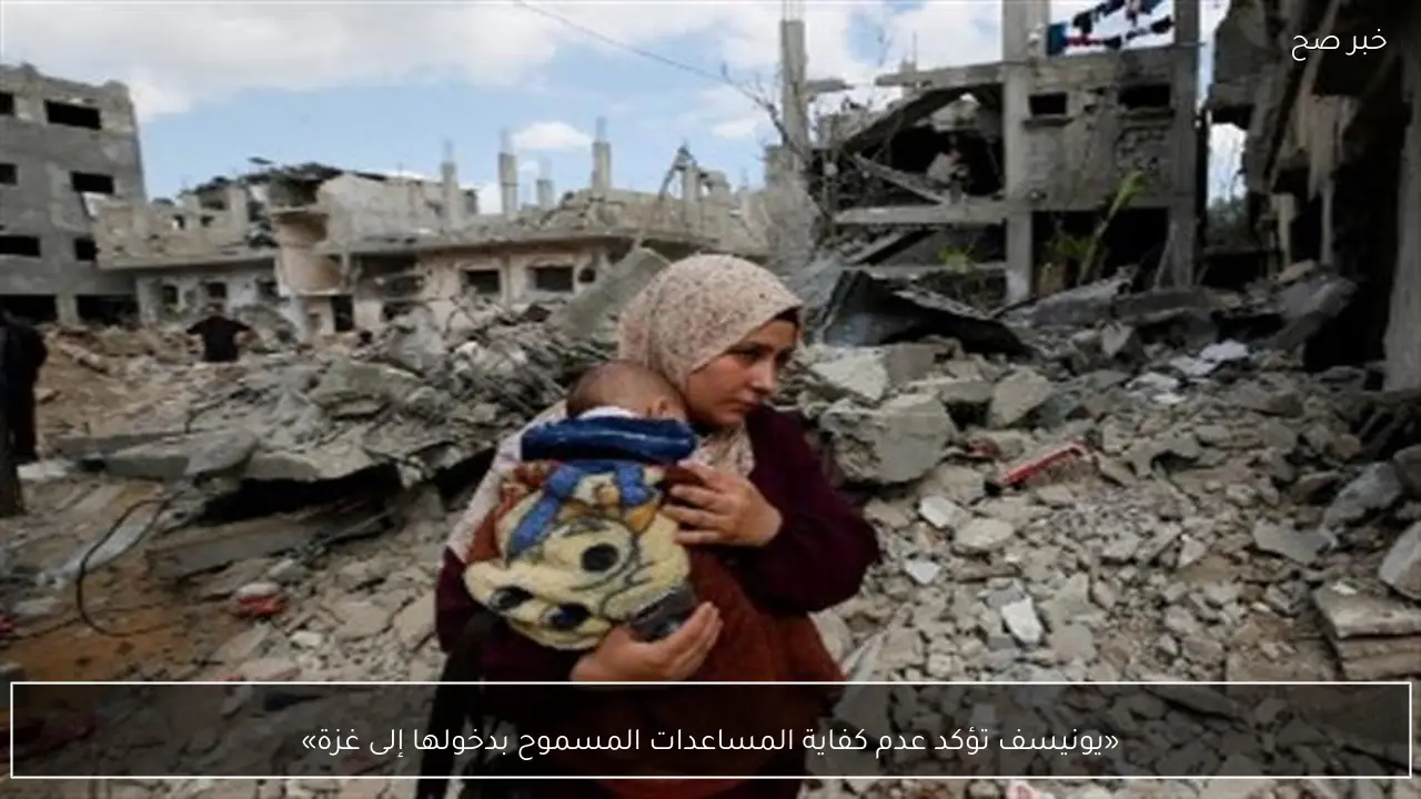 «يونيسف تؤكد عدم كفاية المساعدات المسموح بدخولها إلى غزة»