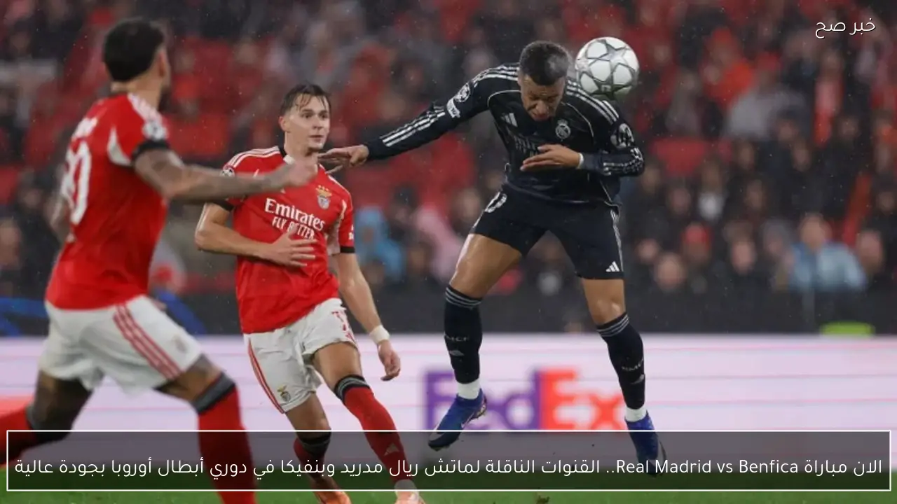 الان مباراة Real Madrid vs Benfica.. القنوات الناقلة لماتش ريال مدريد وبنفيكا في دوري أبطال أوروبا بجودة عالية