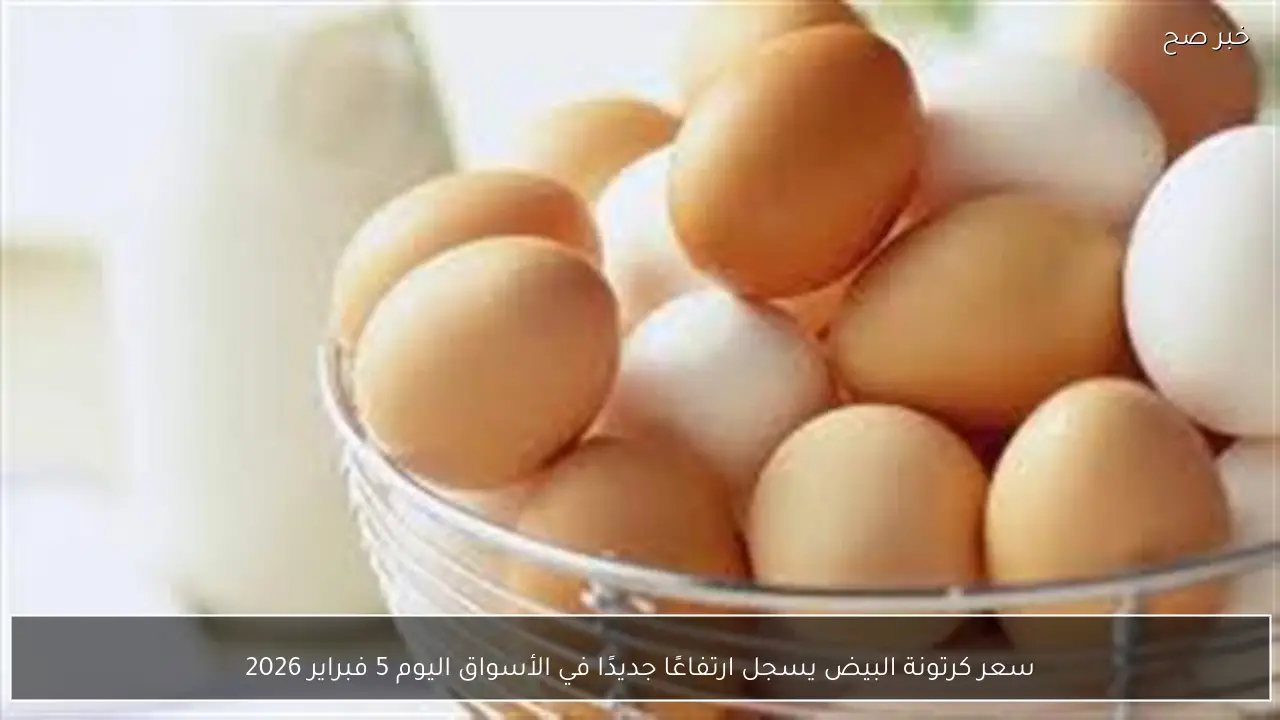 سعر كرتونة البيض يسجل ارتفاعًا جديدًا في الأسواق اليوم 5 فبراير 2026