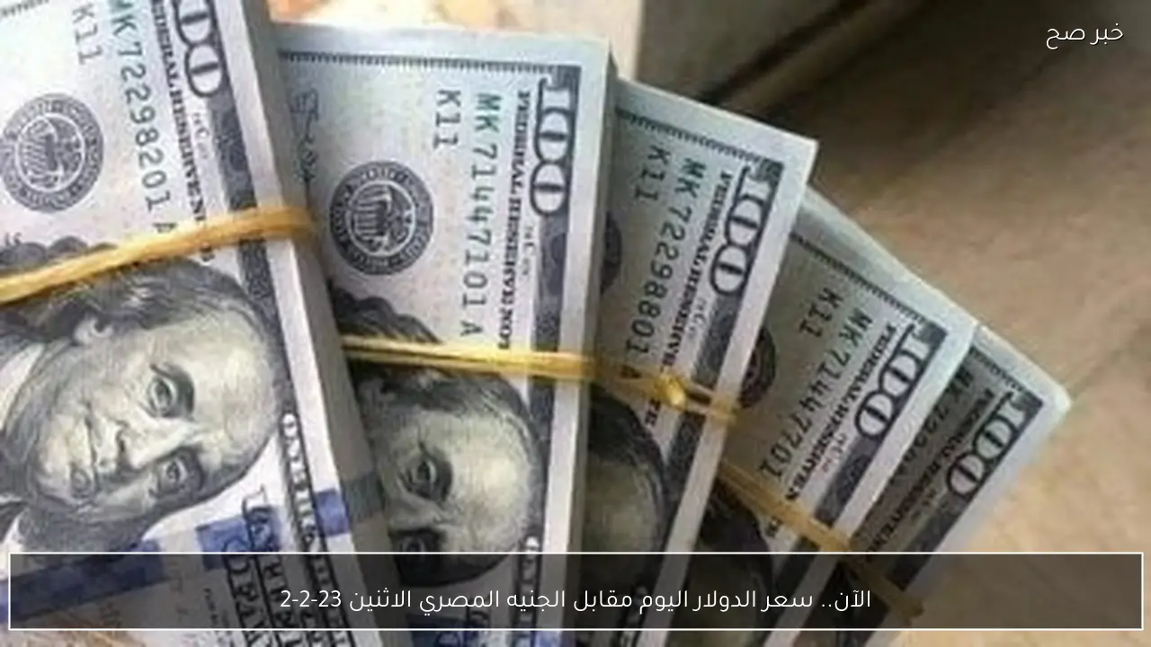 الآن.. سعر الدولار اليوم مقابل الجنيه المصري الاثنين 23-2-2026 في البنوك والسوق السوداء