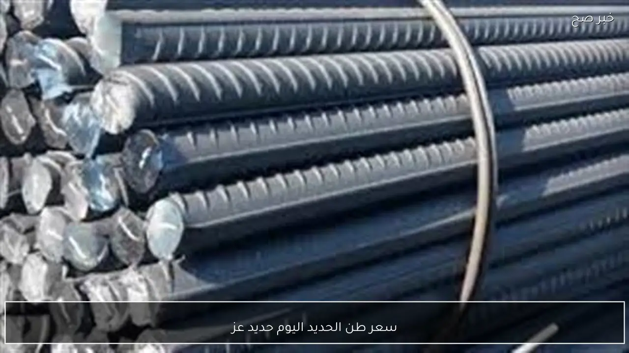 ارتفاع سعر طن الحديد اليوم حديد عز الاحد 22 فبراير 2026 للمستهلك وفق آخر تحديث