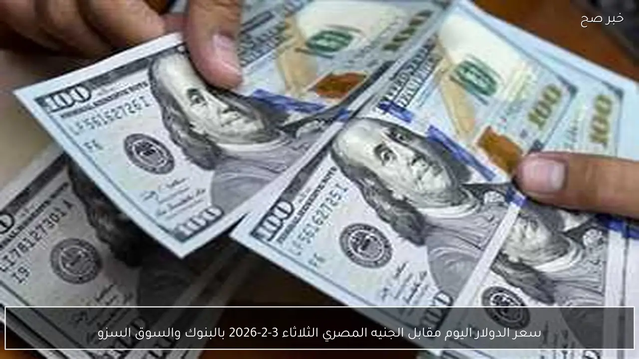 سعر الدولار اليوم مقابل الجنيه المصري الثلاثاء 3-2-2026 بالبنوك والسوق السوداء.. تحديث لحظي بيع وشراء