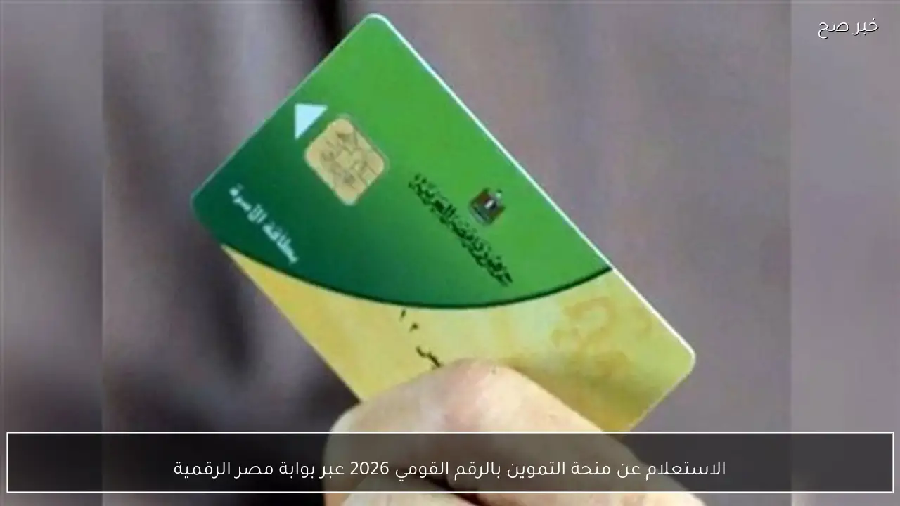 الاستعلام عن منحة التموين بالرقم القومي 2026 عبر بوابة مصر الرقمية digital.gov.eg