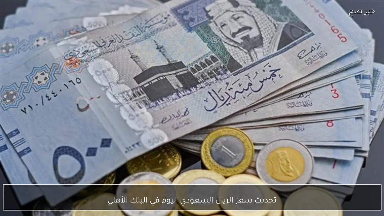 تحديث مباشر.. سعر الريال السعودي اليوم في البنك الأهلي الثلاثاء 24-2-2026 مقابل الجنيه المصري