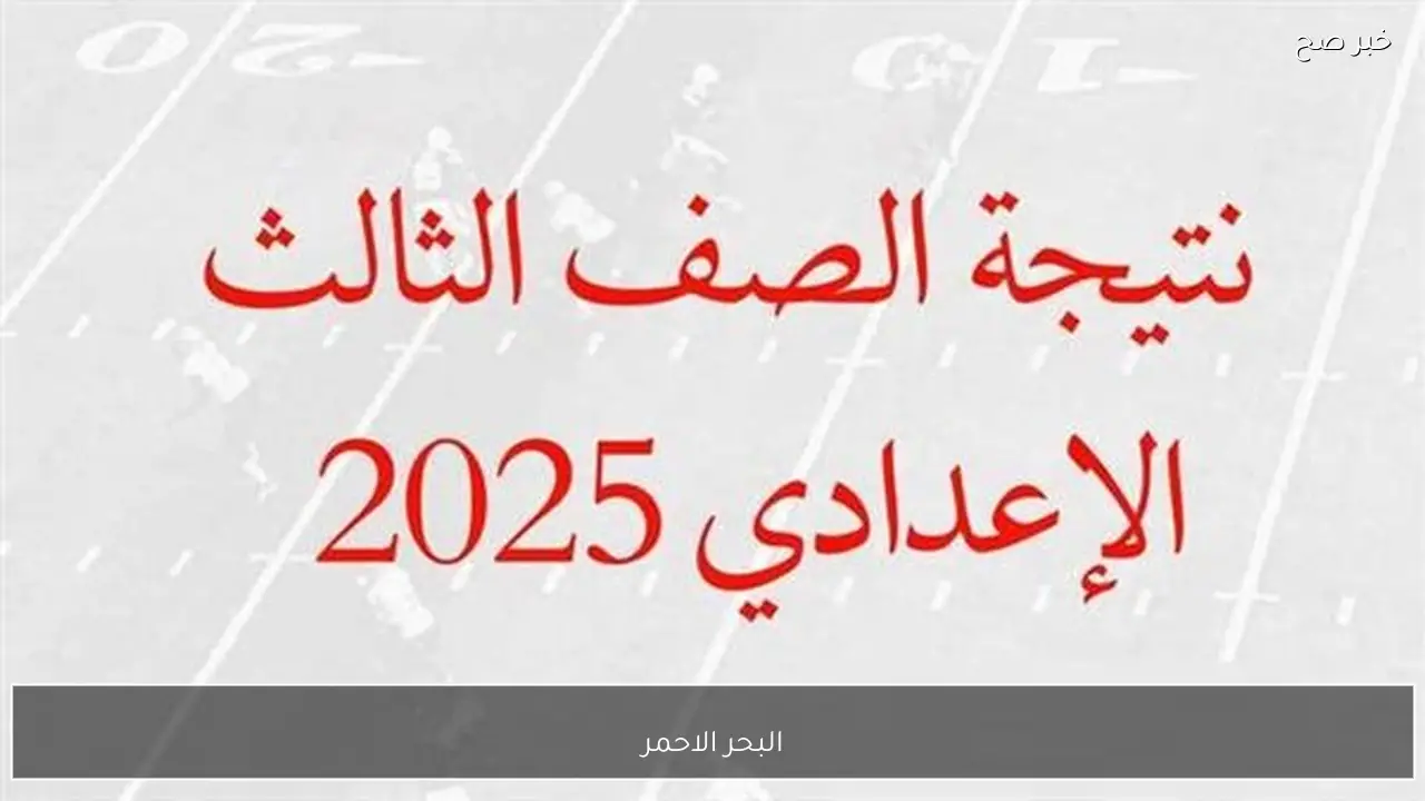 قريبا.. نتيجة الشهادة الاعدادية محافظة البحر الاحمر برقم الجلوس فورا ظهورها.. خطوات الاستعلام