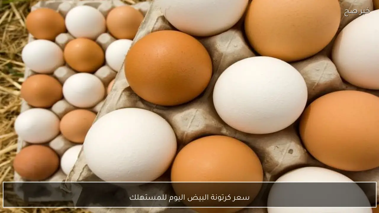 سعر كرتونة البيض اليوم للمستهلك في الاسواق المصرية وبورصة الدواجن الرئيسية