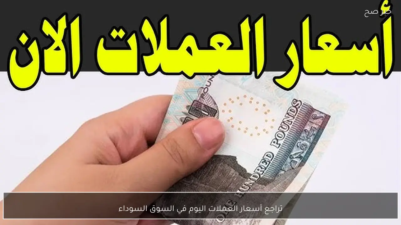 تراجع جديد لأسعار العملات اليوم في السوق السوداء مقابل الجنية الصري