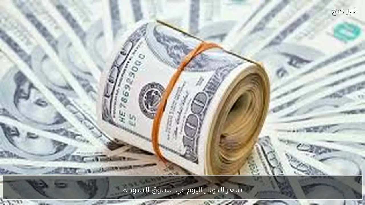 100 دولار بكام؟.. سعر الدولار اليوم في السوق السوداء الاثنين 2 فبراير 2026 مقابل الجنيه المصري