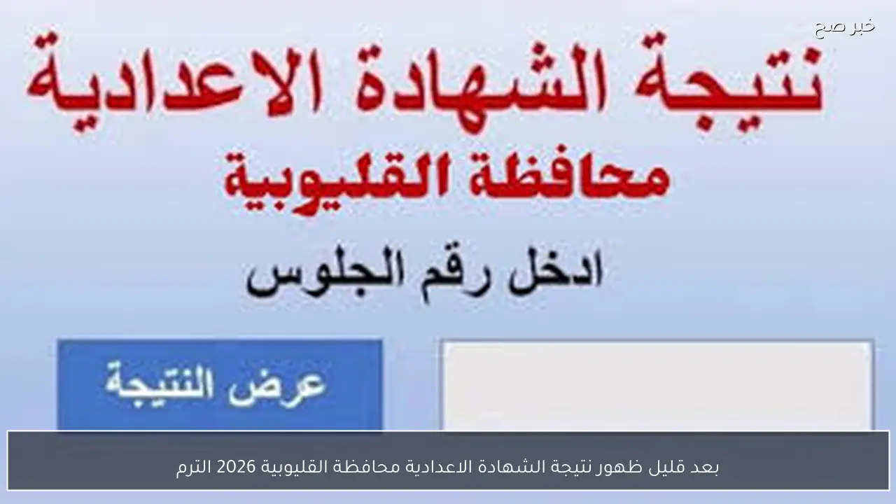 بعد قليل ظهور نتيجة الشهادة الاعدادية محافظة القليوبية 2026 الترم الاول بالاسم والرقم الجلوس