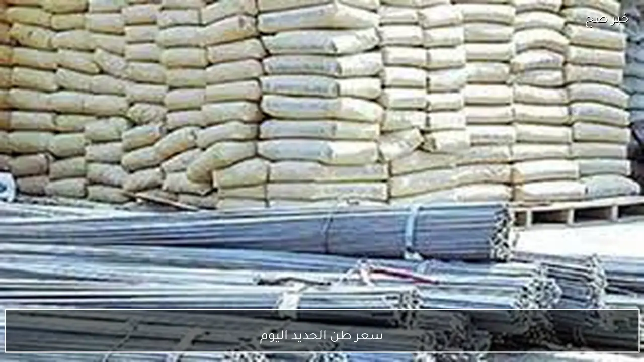 تحديث صباحي.. سعر طن الحديد اليوم الثلاثاء 3 فبراير 2026 في المصانع والشركات المصرية