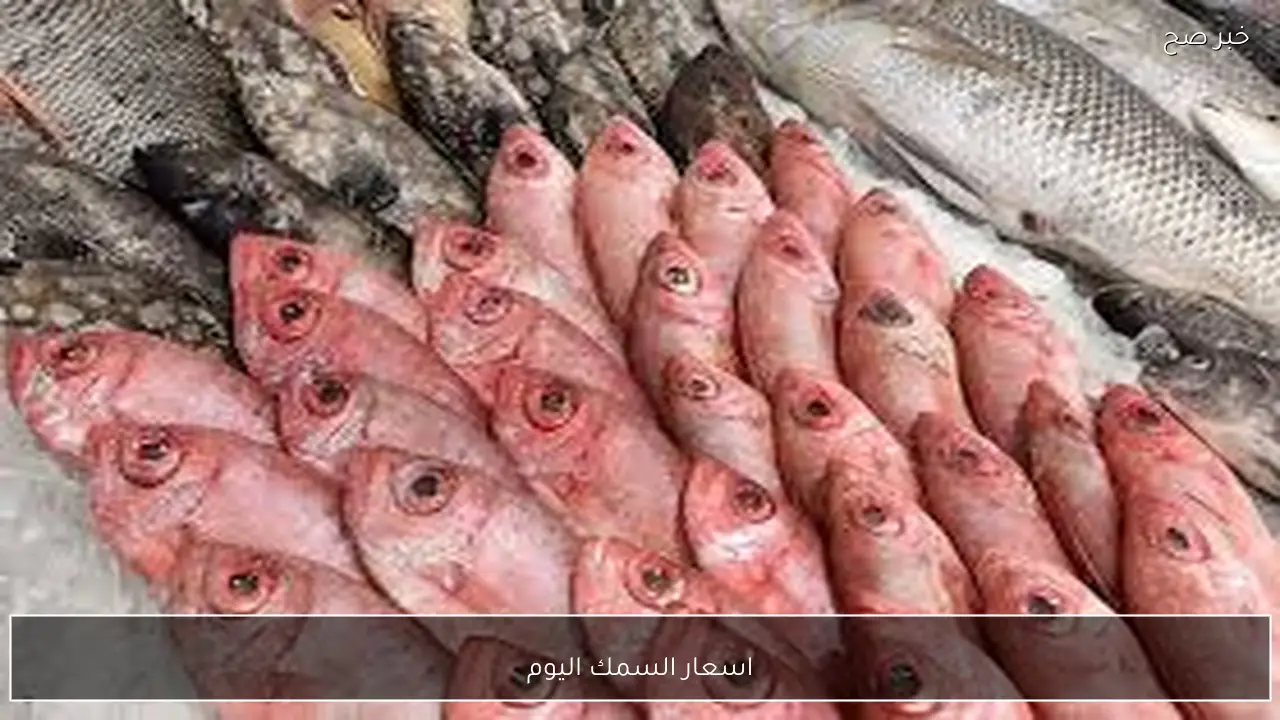 تباين اسعار السمك اليوم الاربعاء 4 فبراير 2026 في سوق العبور للجملة
