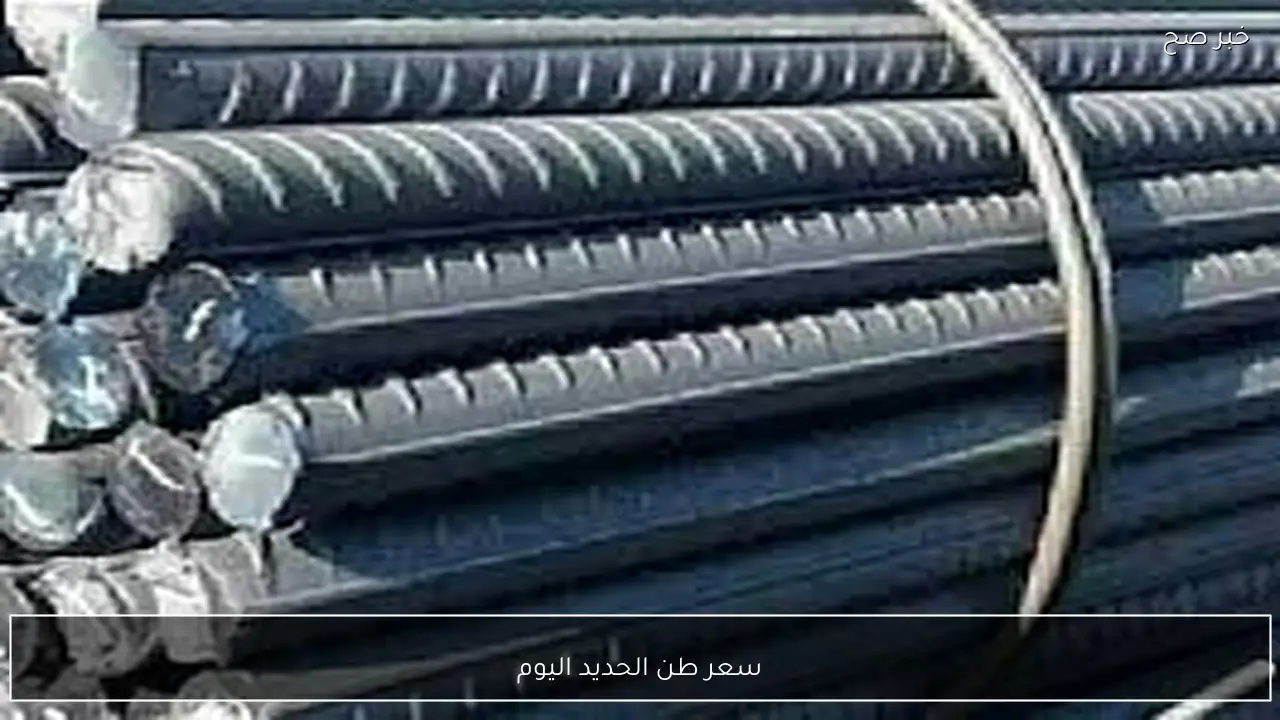 عز بكام؟.. سعر طن الحديد اليوم الاثنين 9-2-2026 للمستهلك في مصر