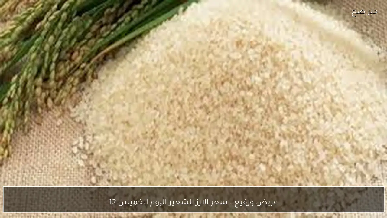 عريض ورفيع.. سعر الارز الشعير اليوم الخميس 12 فبراير 2026 في كافة الاسواق المصرية